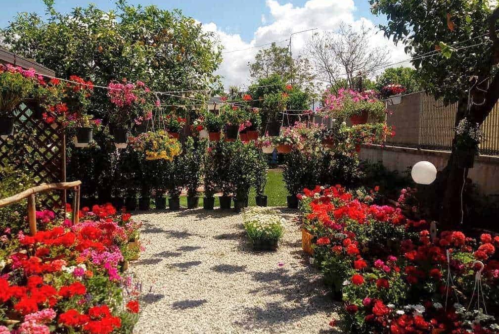 Colorato giardino estivo con fiori di tutte le stagioni, piante ornamentali e decorazioni floreali appese, atmosfera rilassante e vivace, perfetto per blog di giardinaggio e spazi verdi.