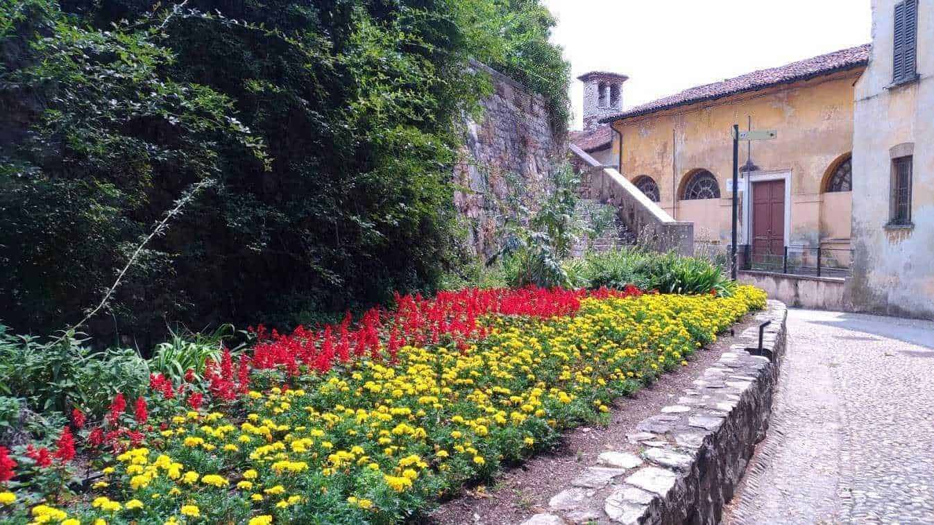 Colorato giardino di fiori con piante di margherite e petunie rosse, vicino a una strada di ciottoli e a un edificio storico