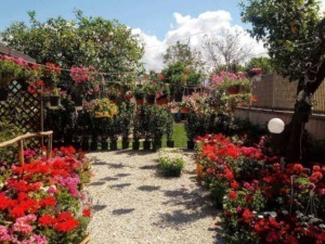 Colorato giardino estivo con fiori di tutte le stagioni, piante ornamentali e decorazioni floreali appese, atmosfera rilassante e vivace, perfetto per blog di giardinaggio e spazi verdi.