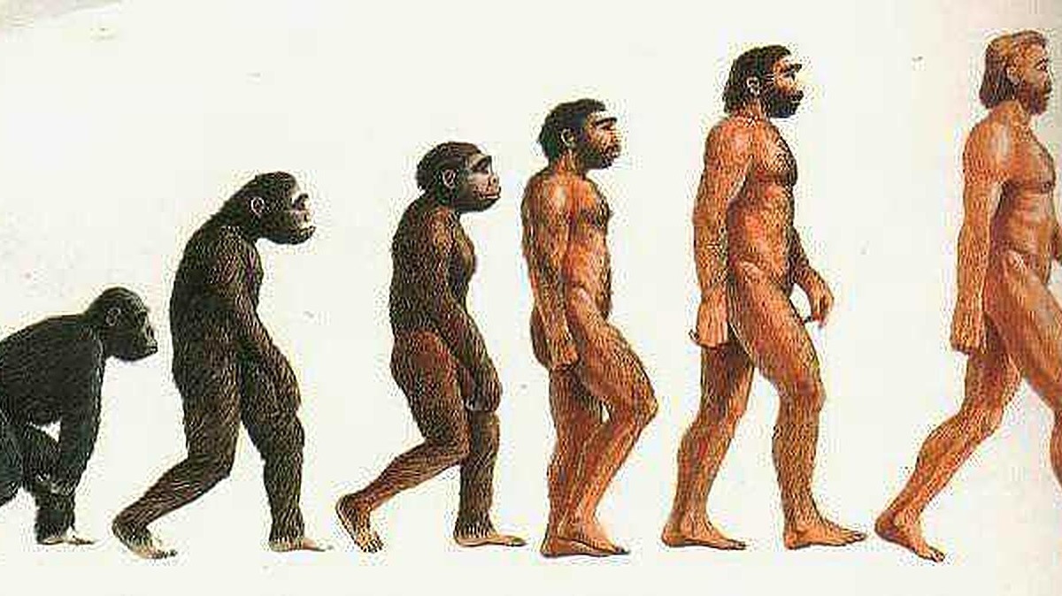 Sfumature dell'evoluzione umana dall'australopiteco all'uomo moderno. Sequenza di immagini che illustra il percorso evolutivo della specie umana nel tempo.