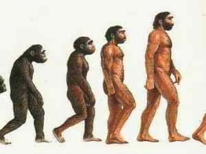 Sfumature dell'evoluzione umana dall'australopiteco all'uomo moderno. Sequenza di immagini che illustra il percorso evolutivo della specie umana nel tempo.