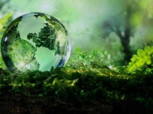 Globo terrestre con mappe delle Americhe e dell'Africa immerso in un ambiente naturale verde e rigoglioso, simbolo di sostenibilità e protezione ambientale.