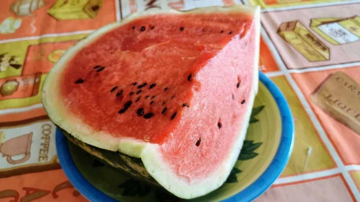 Downloaded a ripe and juicy slice of watermelon on a colorful tablecloth with various illustrations, perfect for refreshing summer fruit content.