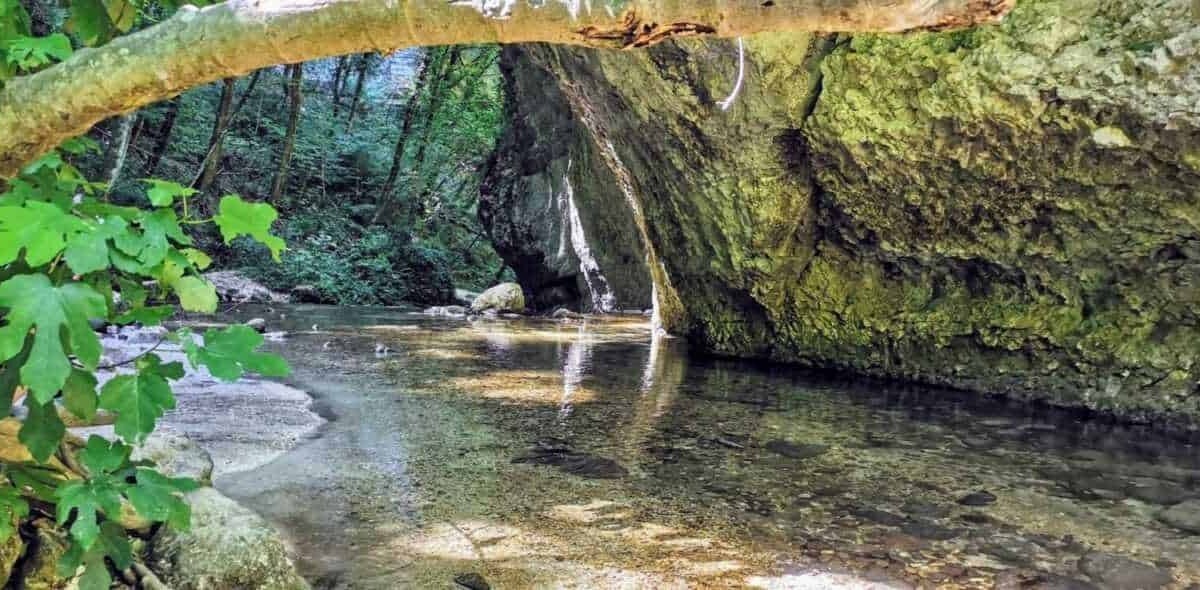 Fiumi di montagna con acqua cristallina e rocce verdi, natura selvaggia e paesaggi naturali, emozioni di tranquillità e pace, turismo sostenibile, esplorare la natura incontaminata.