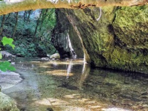 Fiumi di montagna con acqua cristallina e rocce verdi, natura selvaggia e paesaggi naturali, emozioni di tranquillità e pace, turismo sostenibile, esplorare la natura incontaminata.