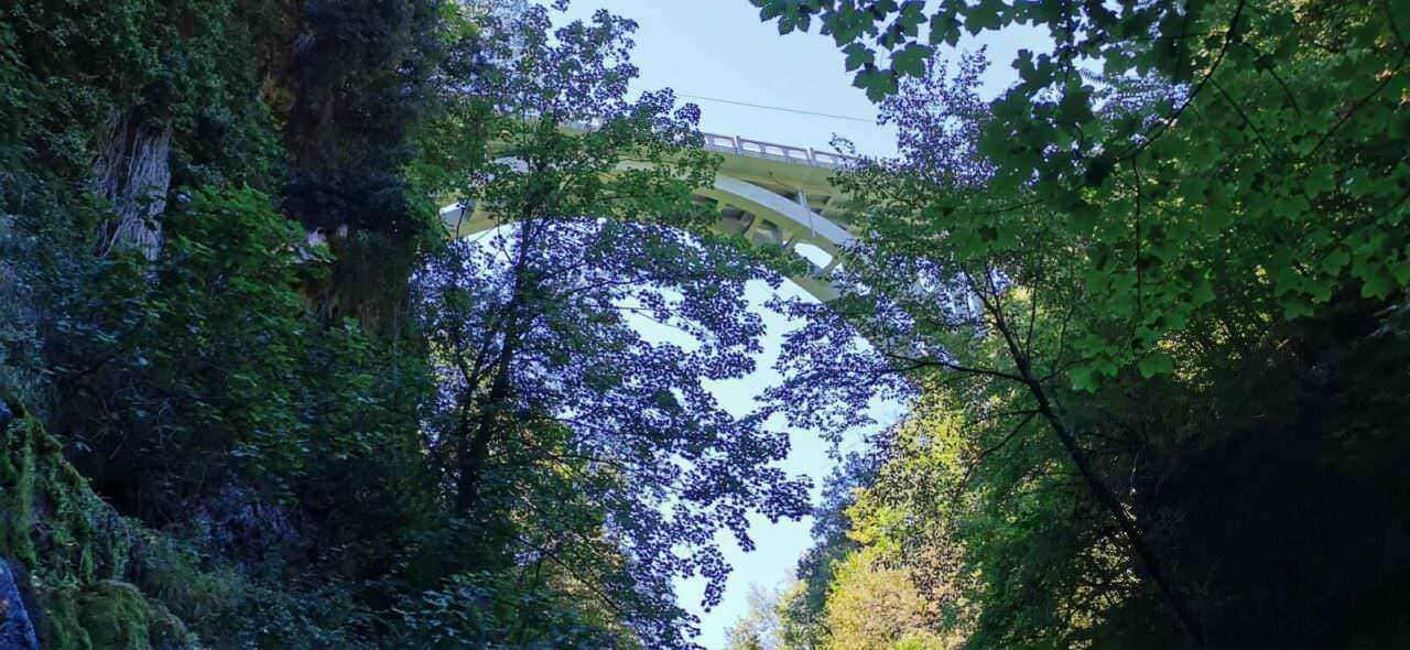 Ponte sospeso tra le montagne immerso nella natura rigogliosa, ambiente naturale ideale per foto suggestive e paesaggi mozzafiato, perfetti per appassionati di trekking e escursionismo.