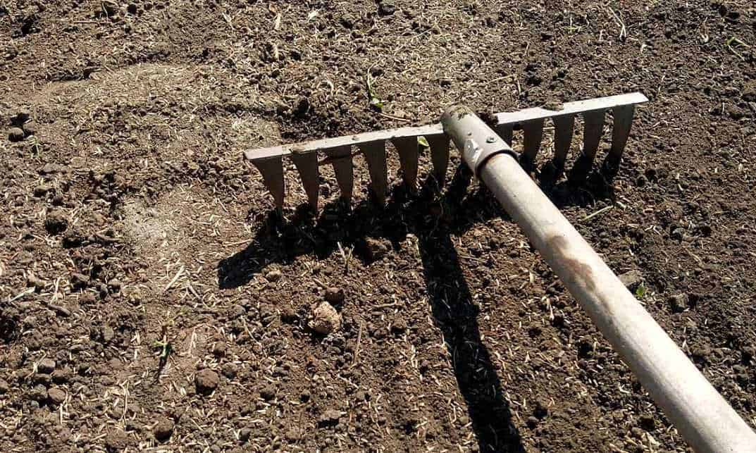 Eliminare i parassiti dalle piante con metodi naturali: Attrezzo per aratura in un campo di terra, utilizzato per preparare il terreno per la semina o la coltivazione. Strumento essenziale per l'agricoltura, favorisce la lavorazione del suolo e la crescita delle piante.