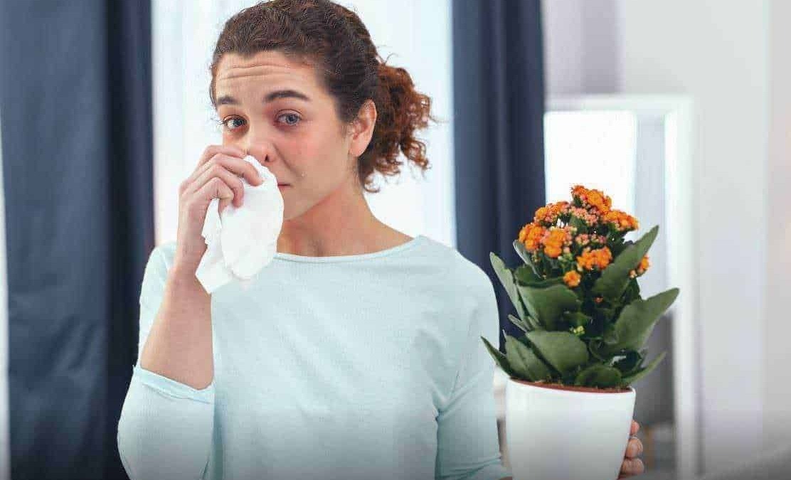 Febbre alta e raffreddore: donna che si appoggia al fazzoletto, sintomi influenzali e malattie stagionali, cura del raffreddore, rimedi naturali e crescita delle piante in vaso.