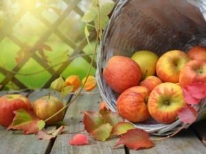 Mele fresche raccolte in cesta di vimini circondata da foglie d'autunno.