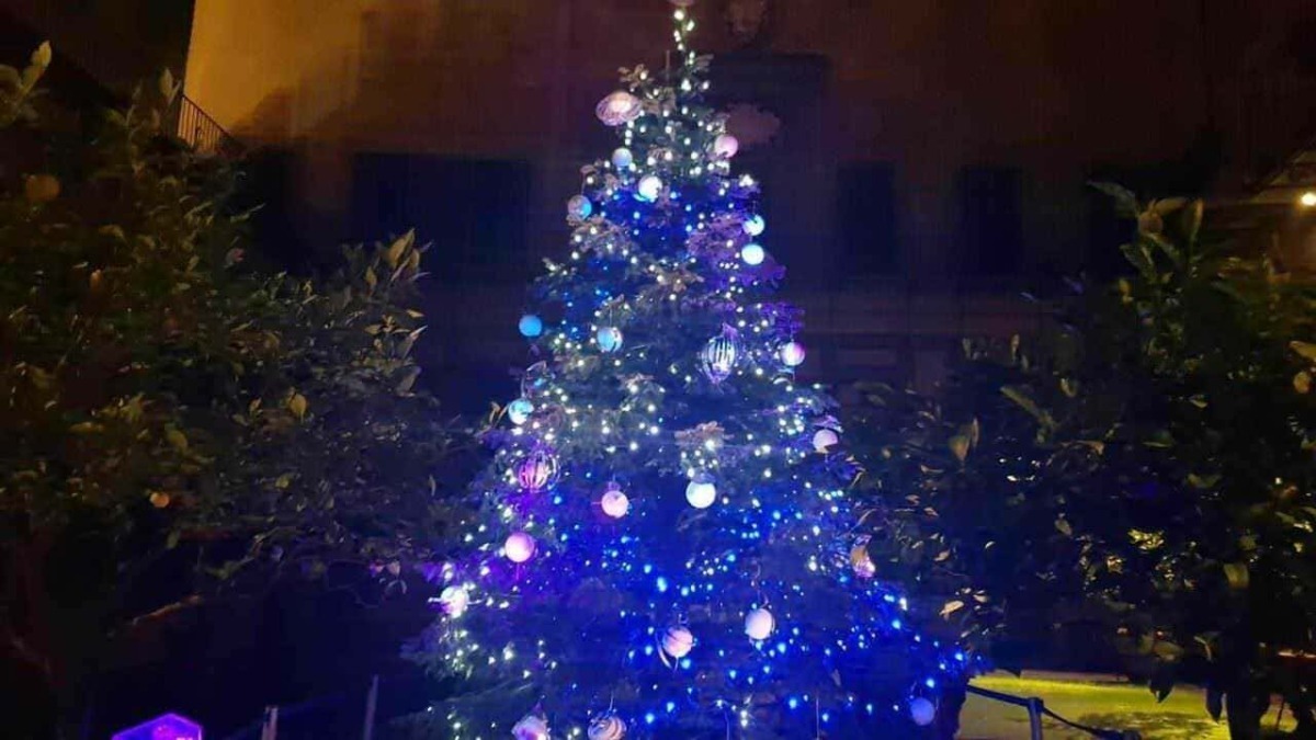 Albero di Natale decorato con luci blu e ornamenti natalizi, ambientato in un giardino con vegetazione, atmosfera festiva e scintillante di sera.