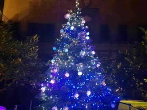 Albero di Natale decorato con luci blu e ornamenti natalizi, ambientato in un giardino con vegetazione, atmosfera festiva e scintillante di sera.