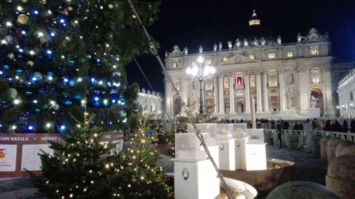 Albero di Natale decorato con luci e ornamenti nel cuore di Piazza San Pietro a Roma durante le festività natalizie.