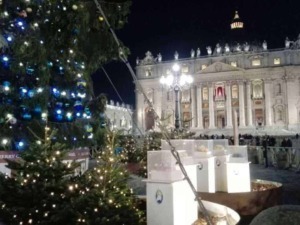 Albero di Natale decorato con luci e ornamenti nel cuore di Piazza San Pietro a Roma durante le festività natalizie.