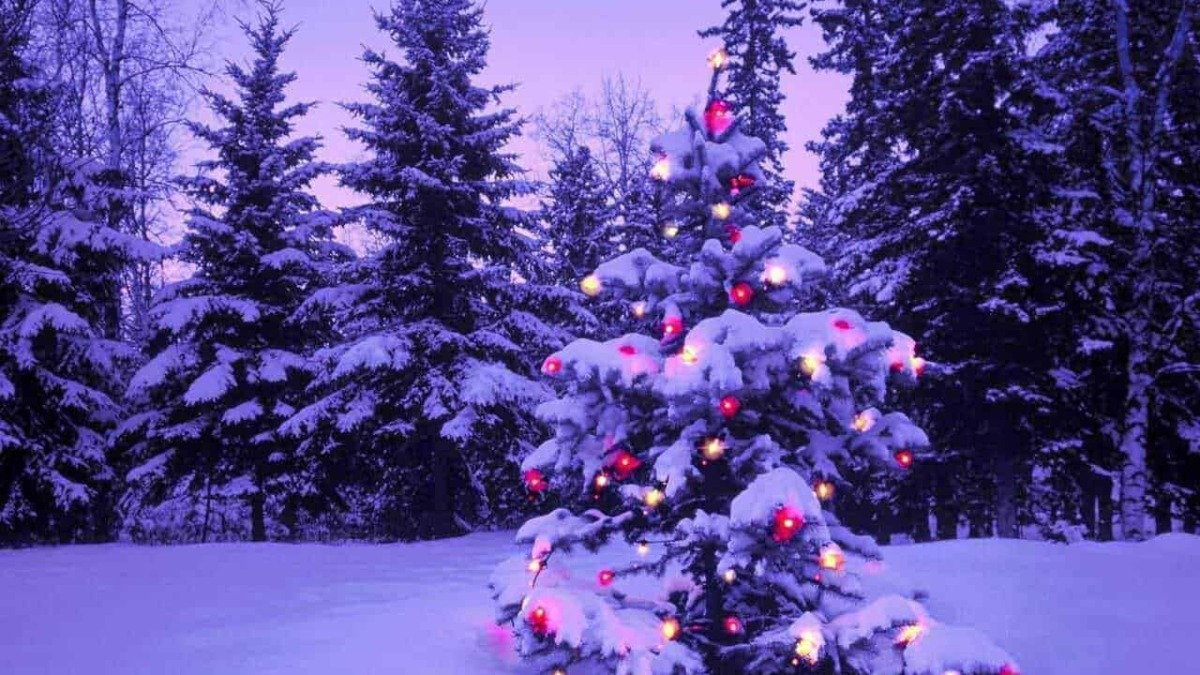 Albero di Natale decorato con luci colorate coperto di neve in un paesaggio invernale, con una luna piena in cielo e pini innevati in fondo.