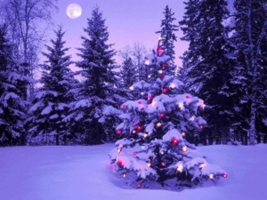 Albero di Natale decorato con luci colorate coperto di neve in un paesaggio invernale, con una luna piena in cielo e pini innevati in fondo.