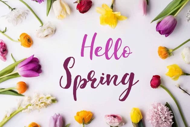 Fiori da seminare a marzo e fioriture di primavera: guida e festival 10 Le fioriture di primavera e i festival floreali da non perdere