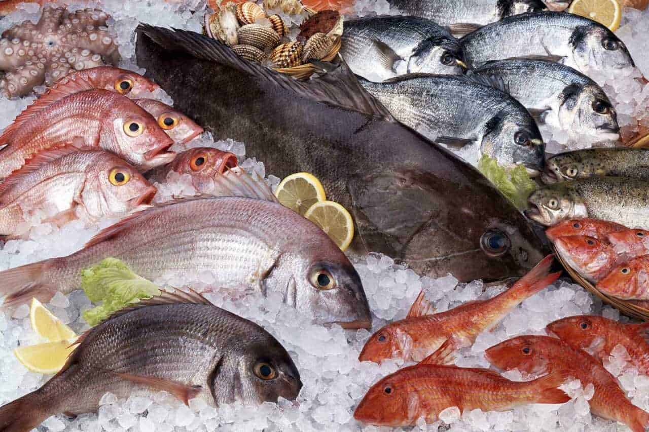Dieta del pesce quanto si dimagrisce in 1 mese