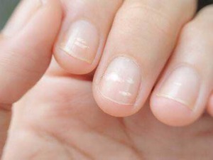 Unghie curate e naturali, in primo piano su mani femminili.