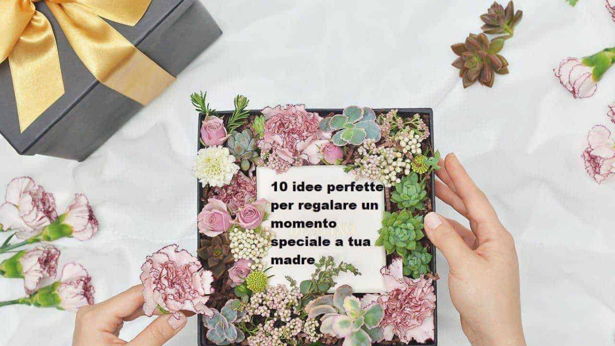 Idee regalo per madre, fiori colorati e presento speciale, composizione floreale con piante succulente, confezione regalo elegante, buon esempio di dono personalizzato per occasioni speciali.