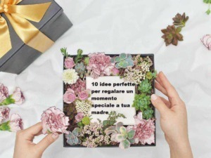 Idee regalo per madre, fiori colorati e presento speciale, composizione floreale con piante succulente, confezione regalo elegante, buon esempio di dono personalizzato per occasioni speciali.