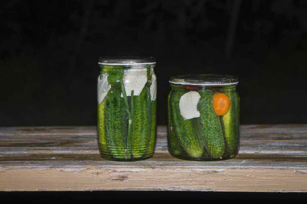 Ricetta dei sottaceti di cetrioli probiotici.