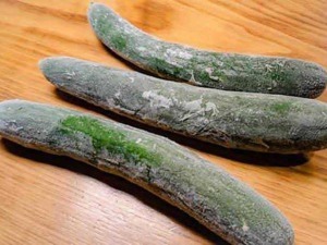 Borragine fresca con foglie verdi e fiori blu, verdure di stagione, ingredienti naturali, coltivazione ecologica, salutare e ricco di nutrienti, ideale per insalate e cucinare a casa.