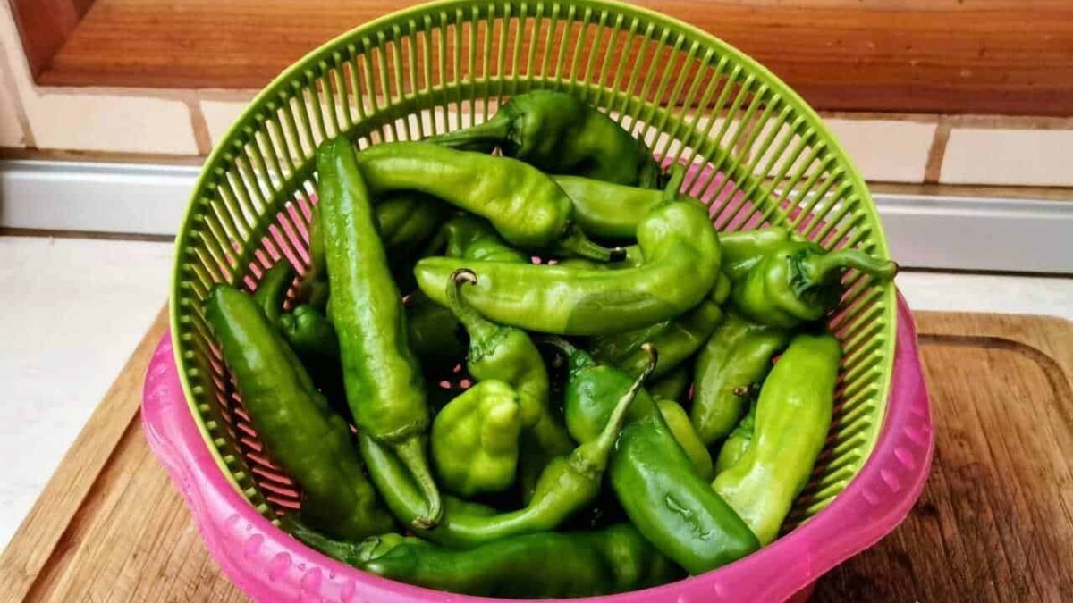 Peperoni verdi freschi in un cesto di plastica verde su tavolo in cucina.