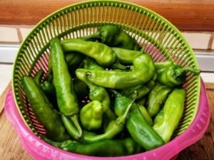 Peperoni verdi freschi in un cesto di plastica verde su tavolo in cucina.