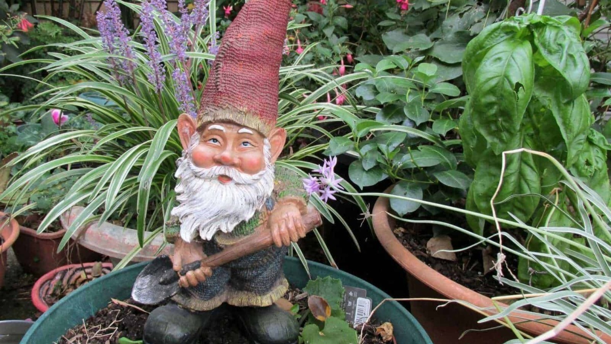Statuina di gnomo giardiniere con cappello a punta roccioso tra piante verdi e fiori colorati, decorazione per il giardino.