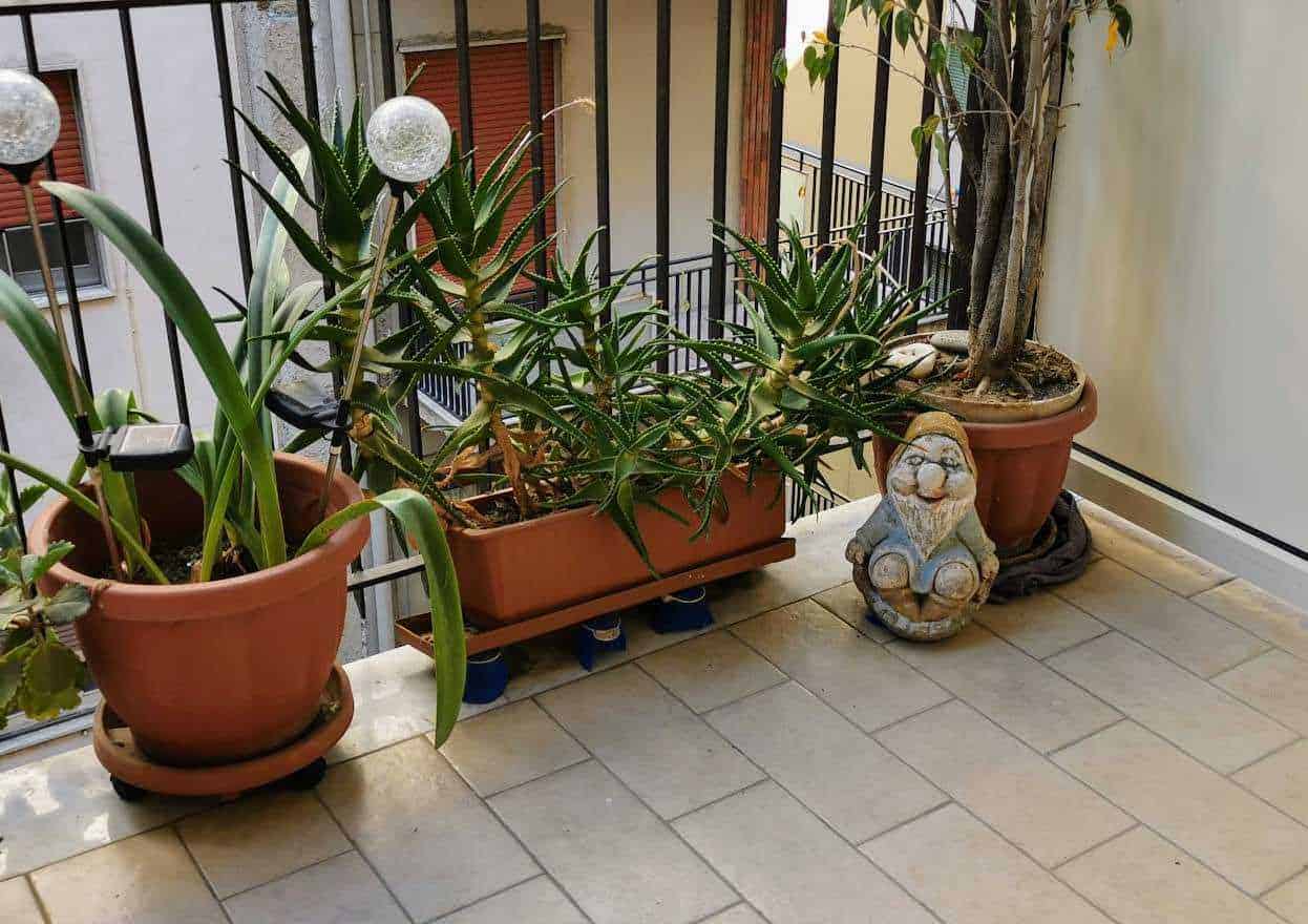 Origine Nani da giardino da antica Roma a oggi! 5 Origine Nani da giardino dall'antica Roma a oggi!