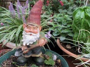 Statuina di gnomo giardiniere con cappello a punta roccioso tra piante verdi e fiori colorati, decorazione per il giardino.