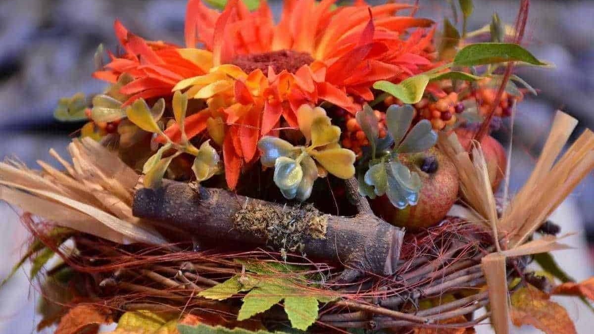 Cosa piantare sul balcone mese per mese il calendario verde