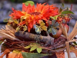 Cosa piantare sul balcone mese per mese il calendario verde