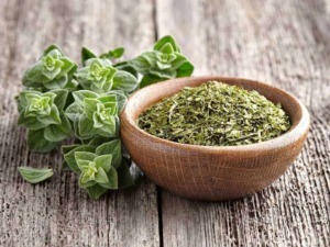 Prefiato di origano in polvere in una ciotola di legno con rametti di origano fresco accanto, su sfondo di legno rustico.