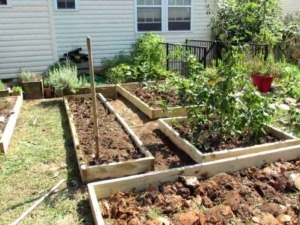 File nome: giardino orto biologico in arrivo