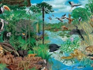 Tucano, giaguaro, pipistrelli, coccodrillo, ippopotamo, farfalle, e uccelli in un ecosistema ricco di biodiversità nella natura selvaggia.