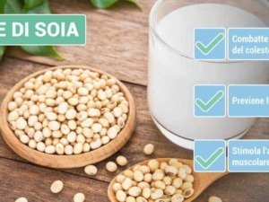 Latte di soia con proprietà benefiche per la salute, come combattere il colesterolo, prevenire l'osteoporosi e stimolare l'attività muscolare. Ricco di isoflavoni e proteine vegetali.