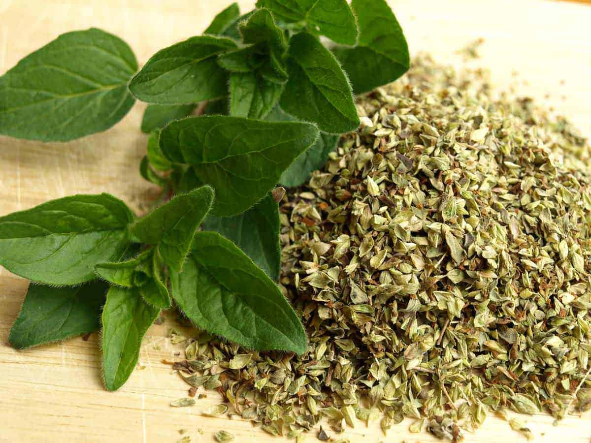 Foglie di menta fresca accanto a foglie di menta essiccate, utilizzate in cucina e in tisane. La menta è nota per le sue proprietà digestive e rinfrescanti, perfetta per aromatizzare piatti e bevande.