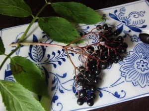 Raccolta di more nere su piatto decorato blu e bianco, con foglie verdi e rami visibili, ideale per ricette di marmellate e dessert fatti in casa.