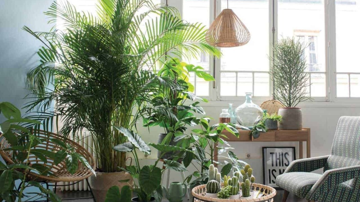 Vaso di piante verdi e cactus in soggiorno luminoso con grandi finestre, arredi minimalisti, tessuti naturali e decorazioni di design per un'atmosfera accogliente e di tendenza.