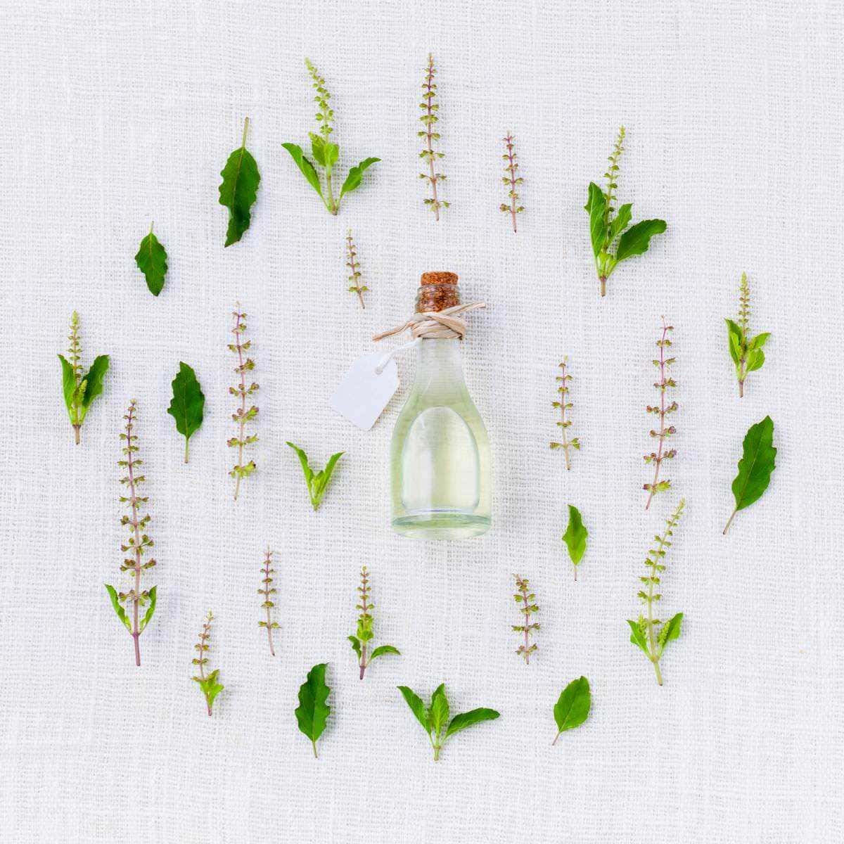 Erbe ayurvediche per crescita capelli, 5 tipi 2 Erbe ayurvediche per la crescita dei capelli: Erbe ayurvediche per crescita capelli, 5 tipi
