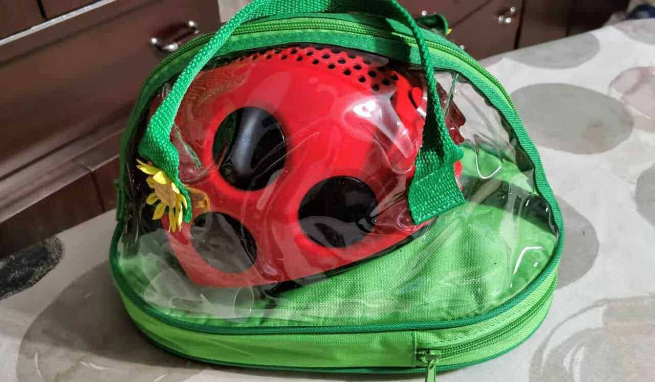 Fauna giocattolo ladybug in valigia trasparente, oggetto di gioco per bambini, con spazio per riporre altri giochi o accessori, ideale come regalo per bambini e per giochi all'aperto.