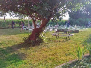 Piacevole scena di un giardino estivo con persone che socializzano tra panchine e alberi verdi in un contesto rustico e rilassante.