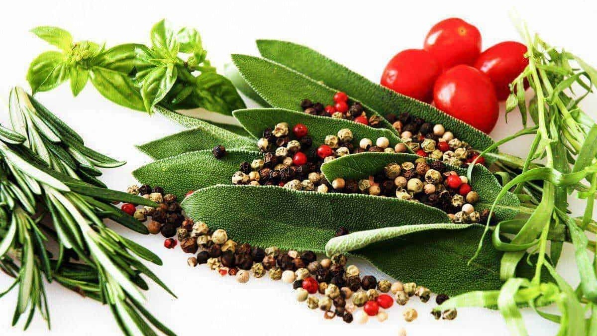 Fragola selvatica: Dei vari tipi di erbe aromatiche e spezie come basilico, rosmarino, salvia, pepe e timo disposte su uno sfondo bianco. Perfette per cucina, come decorazioni o utilizzo in ricette mediterranee.