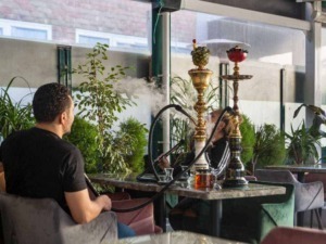 Fumare il shisha in un caffè con piante verdi e ambiente moderno.