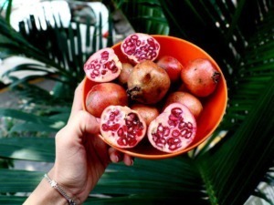 Fichi freschi e maturi in una ciotola arancione con sfondo di foglie verdi tropicali.