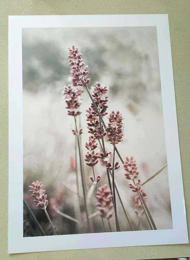 Come decorare una parete con 5 poster di pregio