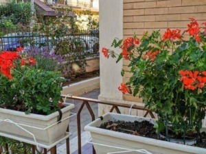 Quali fioriere scegliere per balcone e terrazzo