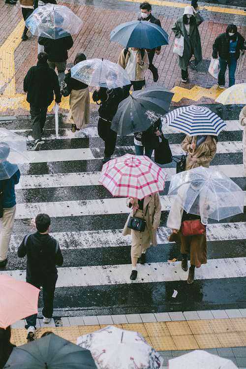 Uomini e donne con ombrelli colorati che attraversano un incrocio sotto la pioggia, scena urbana in una giornata grigia e piovosa, persone che camminano con attenzione sulla strada bagnata, atmosfera cittadina vivace e piovosa.