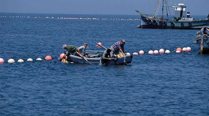 Pesca nel Mar Mediterraneo